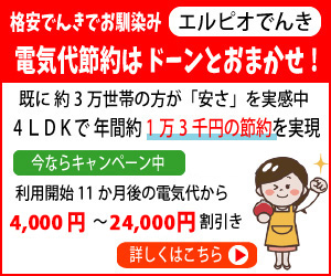 エルピオでんき